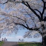 全日本写真連盟福島県本部委員長賞「さぁ、行こうか」