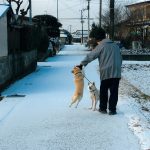 No.200奨励賞