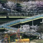 全日本写真連盟福島県本部委員長賞