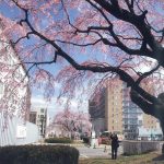 No.147審査委員特別賞