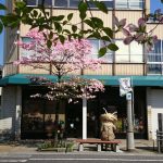 SNS部門
「『ひと休み』」ikao.oaki