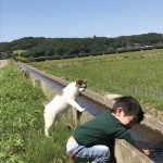 SNS部門「安積疎水」matsui_farm