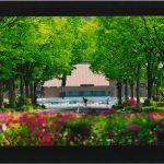 (公財)福島県区画整理協会理事長賞 「街を走る」川浪廣次