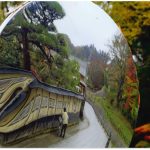 一般部門
『町裏通りの写真展』佐藤正紀